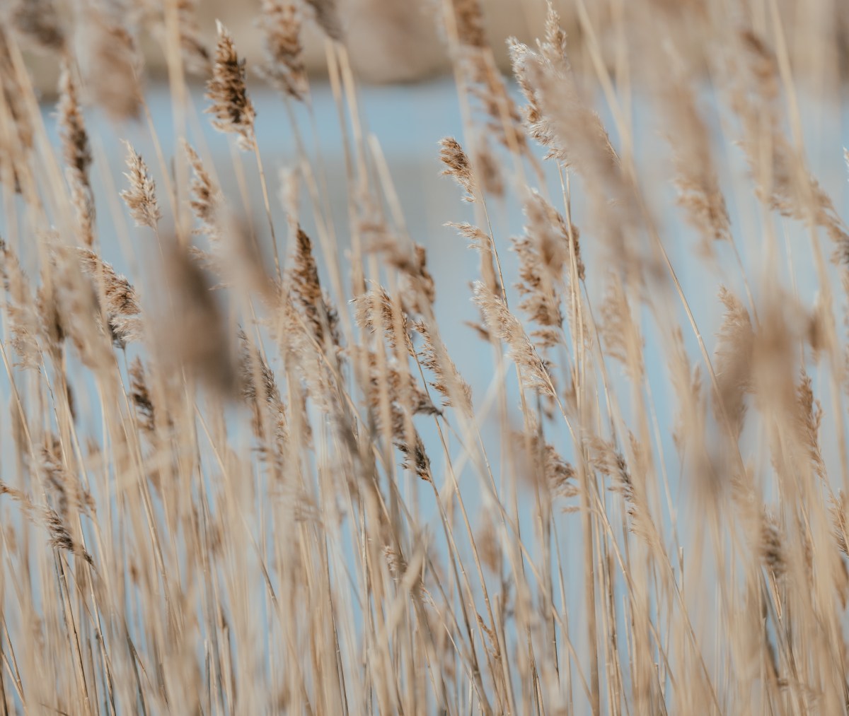 The Kindness of&nbsp;God!